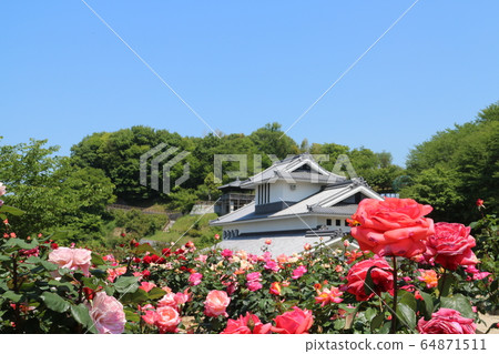 川原玫瑰花園 64871511