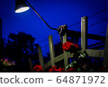 A single rose blooming in the night sky 64871972