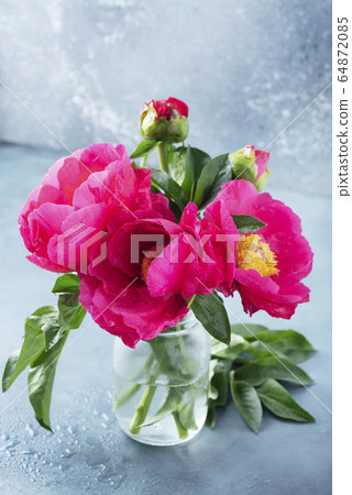 Peony Madame Butterfly Peony Madame Butterfly 64872085
