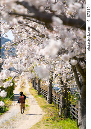 Boy spring cherry blossom satchel Boy spring cherry blossom satchel 64873194