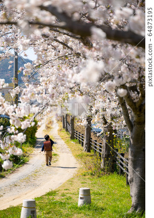 Boy spring cherry blossom satchel 64873195