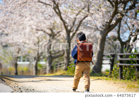 Boy spring cherry blossom satchel 64873617