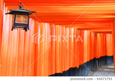 京都 京都 64873793