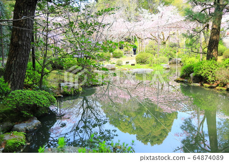 Kyoto Kyoto 64874089