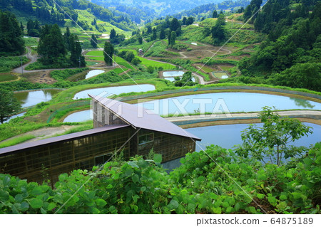 Yamakoshi Tanada 64875189