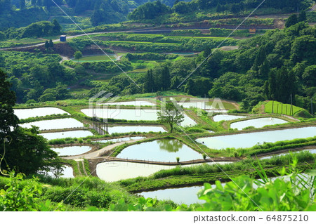 Yamakoshi Tanada Yamakoshi Tanada 64875210