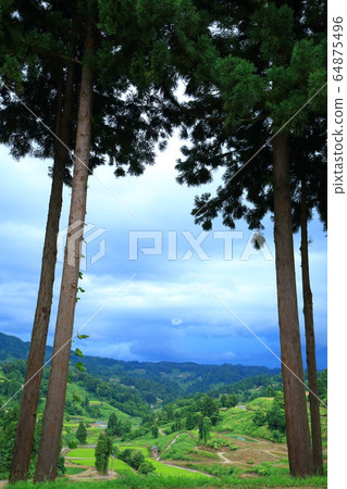 Yamakoshi Tanada 64875496