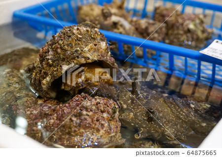 Sasae的魚市場 Sasae的魚市場 64875665