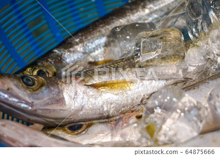 魚市場中的沙丁魚 魚市場中的沙丁魚 64875666