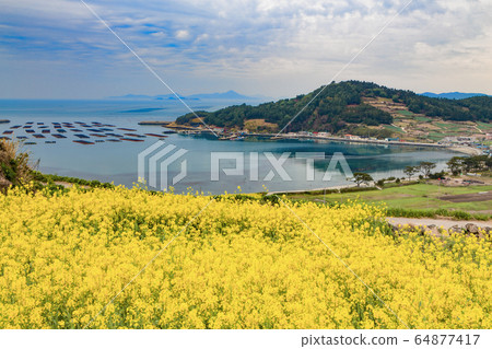 青山島村的春天 青山島村的春天 64877417
