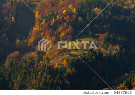 Village Houses and autumn foliage trees in the Village Houses and autumn foliage trees in the 64877698