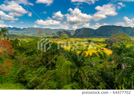 Vinales Valley site in Pinar del Rio of Cuba Vinales Valley site in Pinar del Rio of Cuba 64877702
