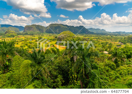 Vinales Valley site in Pinar del Rio of Cuba Vinales Valley site in Pinar del Rio of Cuba 64877704