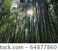 Arashiyama竹樹叢在京都 64877860