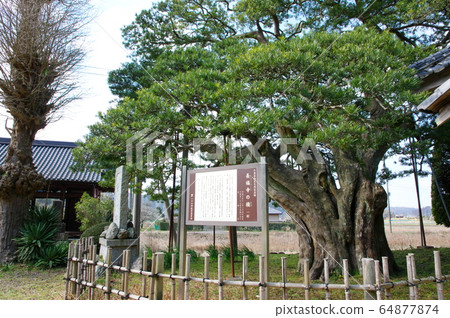 A wooden mallet at Chofukuji Temple (Isumi City, Chiba Prefecture) A wooden mallet at Chofukuji Temple (Isumi City, Chiba Prefecture) 64877874