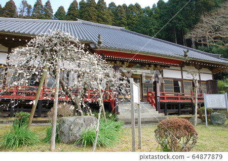 Shirayama Chofukuji Temple (Isumi City, Chiba Prefecture) 64877879