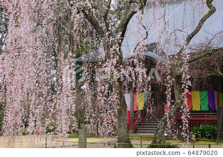 Eifuku-ji寺（千葉市） 64879020