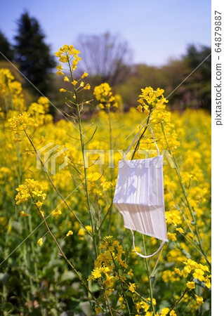 Mask coronavirus infection prevention hay fever emergency declaration go out park bench book notebook 64879887