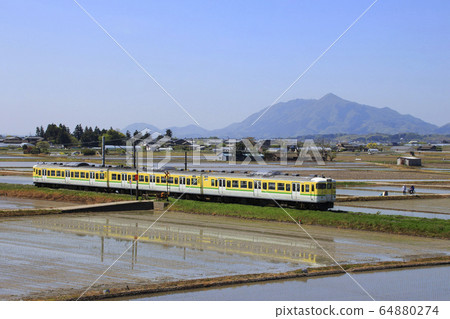 Early summer Echigo line 115 series (Yahiko line color) 64880274