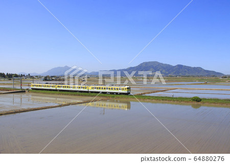 Early summer Echigo line 115 series (Yahiko line color) Early summer Echigo line 115 series (Yahiko line color) 64880276