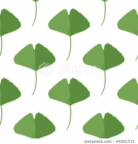 Seamless pattern with green ginkgo leaves. Natural simple background. 64882555
