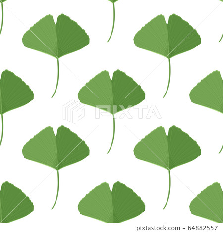 Seamless pattern with green ginkgo leaves. Natural simple background. 64882557