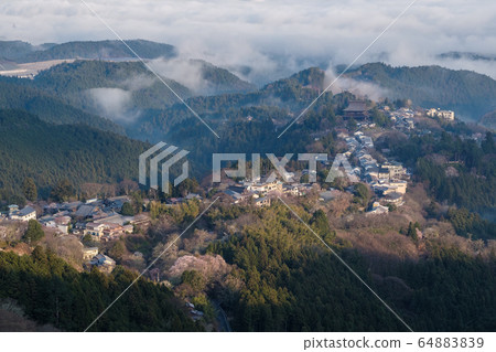 吉野山Unkai 64883839