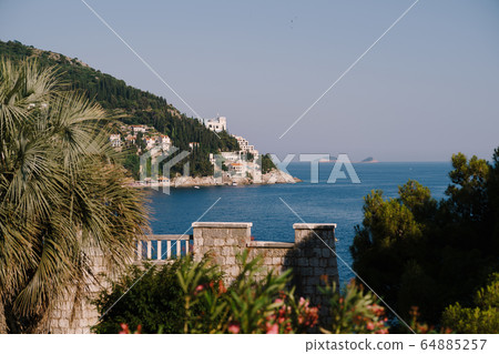 Dubrovnik coast. View from a villa by sea, shore and islands in the Adriatic Sea, through palm trees and flowers 64885257