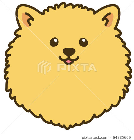 Hand-drawn illustration of a Pomeranian's face with main lines Hand-drawn illustration of a Pomeranian's face with main lines 64885669