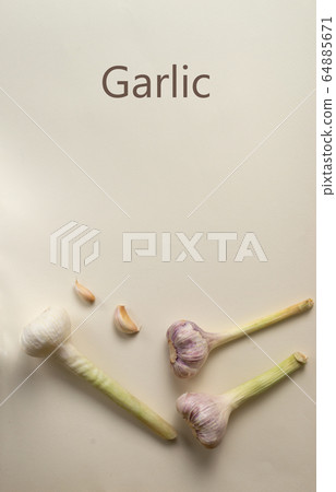 Young garlic with a stem on a light background with the inscription. The concept of minimalism. Vertical orientation. Young garlic with a stem on a light background with the inscription. The concept of minimalism. Vertical orientation. 64885671