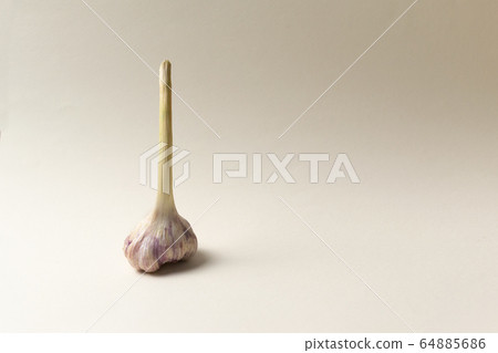 Young garlic with a long stem on a light background. Minimalism style. Close up. Young garlic with a long stem on a light background. Minimalism style. Close up. 64885686
