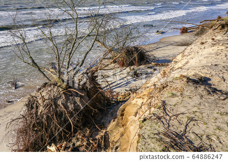 erosion of the Baltic Sea coast by strong winds 64886247