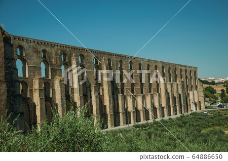 Olive trees in front aqueduct with arches in Elvas 64886650