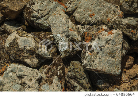 Wall made of stones with moss and lichens Wall made of stones with moss and lichens 64886664