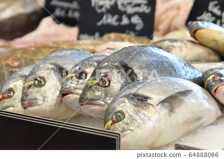 A counter with fresh fish dorado at the local A counter with fresh fish dorado at the local 64888066