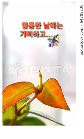 Young leaves Young leaves 64888230