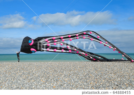 Octopus kites in the sky in ocean Octopus kites in the sky in ocean 64888455