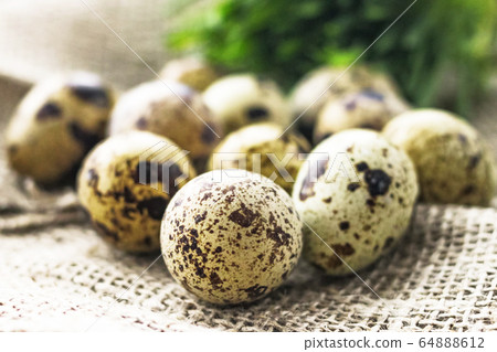 Quai on sack canvas on green grass background. Healthy eating, Easter concept. Quai on sack canvas on green grass background. Healthy eating, Easter concept. 64888612