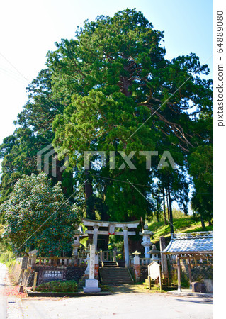 Kasano Osugi,Su原神社山中溫泉 Kasano Osugi,Su原神社山中溫泉 64889080