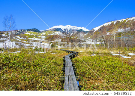 白蘭山與樹木和剩餘的雪 白蘭山與樹木和剩餘的雪 64889552