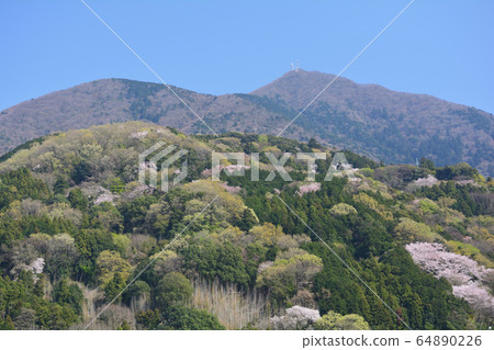 I stopped by Tsukushi Lake # 23 64890226