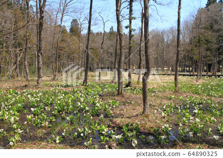 Ochikura Nature Garden Ochikura Nature Garden 64890325