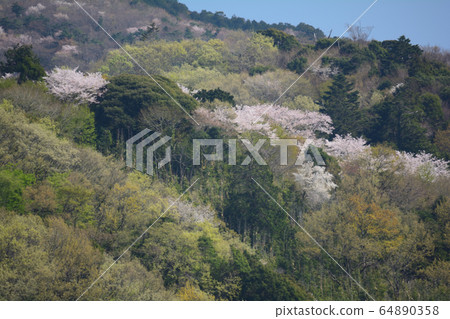 I stopped by Tsukushi Lake # 33 64890358