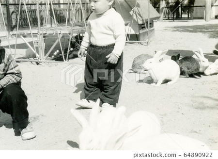 昭和795 昭和795 64890922