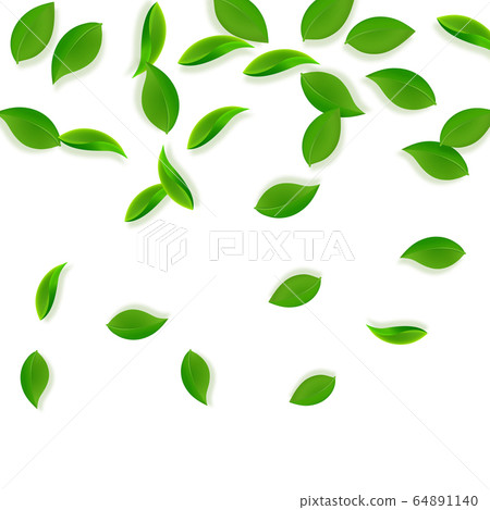 Falling green leaves. Fresh tea neat leaves flying 64891140