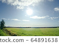 Summer plains 64891638