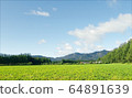 Hokkaido in the summer 64891639
