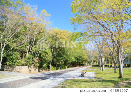 新鮮的綠色公園 新鮮的綠色公園 64891907