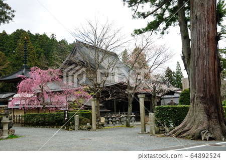 Koyasan Nanin Namikiri Fudoson 64892524