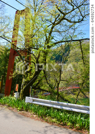 Gaya Suspension Bridge, Fuji Shagatake 64892734